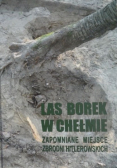 Las borek w Chełmie. Zapomniane miejsce zbrodni hitlerowskich