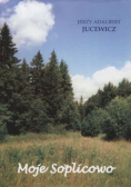 Moje Soplicowo