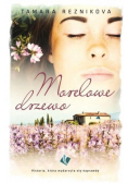 Morelowe drzewo