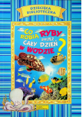 Co robią ryby przez cały dzień w wodzie