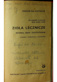 Zioła lecznicze historia zbiór stosowanie