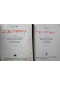 Życie zwierząt 2 tomy ok 1935 r.