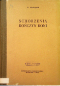 Schorzenia kończyn koni