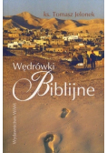 Wędrówki biblijne