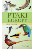 Ptaki Europy przewodnik