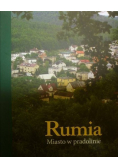 Rumia Miasto w pradolinie