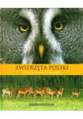 Zwierzęta Polski