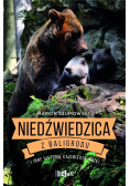 Niedźwiedzica z Baligrodu i inne historie
