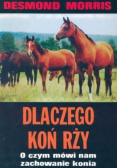 Dlaczego koń rży