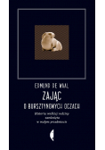 Zając o bursztynowych oczach