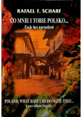 Co mnie i tobie Polsk Eseje bez uprzedzeń