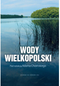 Wody Wielkopolski
