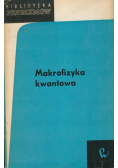 Makrofizyka kwantowa