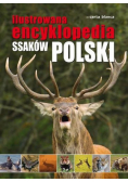 Ilustrowana encyklopedia ssaków Polski