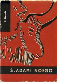 Śladami Noego