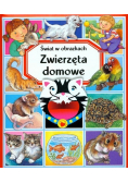 Świat w obrazkach  Zwierzęta domowe