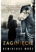 Zaginięcie. Seria z Joanną Chyłką. Tom 2
