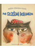 Pod szczęśliwą kocią gwiazdą