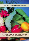 Uprawa warzyw