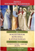 Magisterium Kościoła Katolickiego III /1 Synod w Elwirze Leon XIII 306 1879
