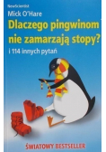 Dlaczego pingwinom nie zamarzają stopy