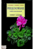Pielęgnowanie roślin doniczkowych