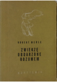 Zwierzę obdarzone rozumem