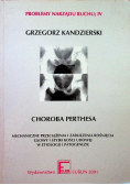 Choroba Perthesa