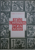 Mój Chrystus połamany