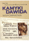 Kamyki Dawida Wspomnienia