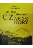 Na bezdrożach Czarnohory