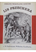 Lis przechera