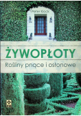 Żywopłoty. Rośliny pnące i osłonowe