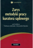 Zarys metodyki pracy kuratora sądowego