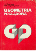 Geometria poglądowa