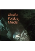 Kroniki Polskiej Miedzi