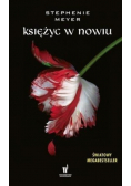 Księżyc w nowiu