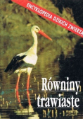 Równiny trawiaste
