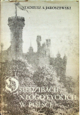 O siedzibach neogotyckich w Polsce