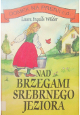 Nad brzegiem srebrnego jeziora