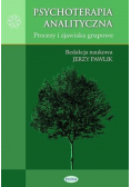 Psychoterapia analityczna. Procesy i zjawiska