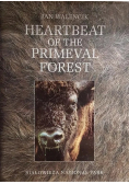 Heartbeat of the Primeval Forest