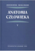 Anatomia człowieka Tom 5