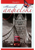 Słownik angielski