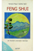 Feng Shui jak mieszkać i pracować w harmonii
