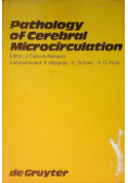 Pathology of cerebral microcirculation