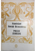 Brzozowski Poezje zebrane