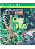 Gady i płazy