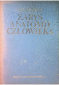 Zarys anatomii człowieka