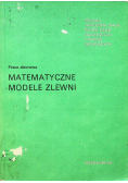 Matematyczne modele zlewni